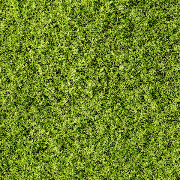 Berkshire Moss Removal